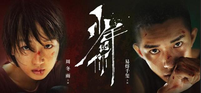 真实资料护照怎么制作